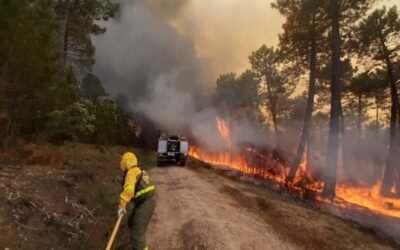 Incendios forestales: cerca de la media en siniestros y superficie forestal quemada en julio
