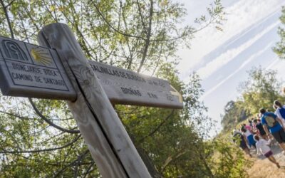 El mundo del vino y del enoturismo se unen al universo del Camino de Santiago. Por ACEVIN