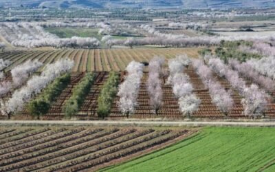 El MAPA presenta a CC.AA. su propuesta de ecoesquemas con 9 prácticas sostenibles para el medio ambiente y el clima