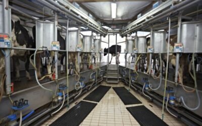Las OPAS convocan nuevos actos de protesta para mañana en Valladolid por el precio de la leche
