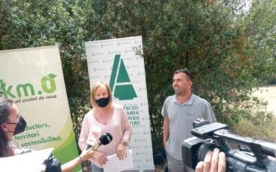 Aumenta un 10% la cosecha de cereal de Cataluña frente a 2020