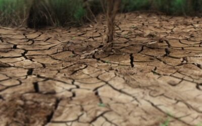 El grupo de expertos IPCC vuelve a alertar sobre el ritmo actual de emisiones de gases de efecto invernadero