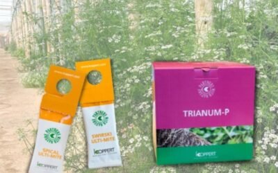 Koppert recomienda Ulti-Mite y Trianum frente a la ola de calor