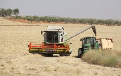 EL USDA prevé que la notable cosecha española de cereales 2021/22 alivie el déficit importador de grano