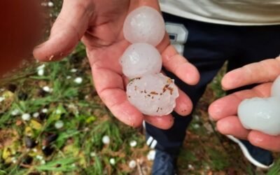 Daños en los cultivos de Castilla-La Mancha por las tormentas de granizo de los últimos días