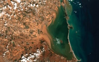 El regadío ilegal, en el punto de mira de la crisis del Mar Menor