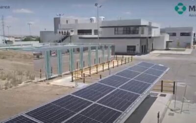 España recibe el primer lote de vacunas con tecnología Sphereon producido por MSD Animal Health en Salamanca