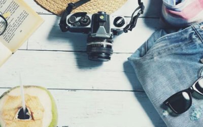 ¿De vuelta de las vacaciones? ¡Estas son las noticias oleícolas que te has perdido!