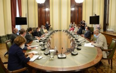 Planas insiste ante las OPAs en que el PE-PAC dará apoyo decidido a la actividad agraria profesional y familiar