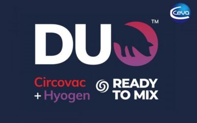 DUO, el nuevo concepto de CEVA Salud Animal frente a Mhyo y PCV2
