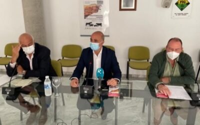 La FIG de Zafra 2021 reunirá a casi 2.000 cabezas de ganado de 150 ganaderías de toda España durante cuatro días