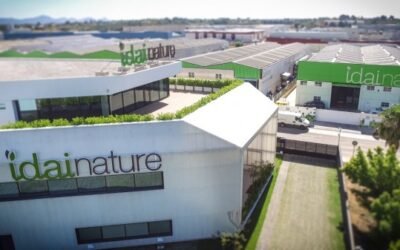 Idai Nature, seleccionada para formar parte del proyecto Cítric-Sà contra el cotonet