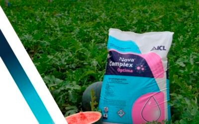 ICL lanza en Fruit Attraction su nuevo catálogo Nova Complex Optima