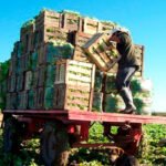 Mensaje a la distribución: “El sistema no se sostiene sobre unos precios en origen permanentemente tensionados a la baja”