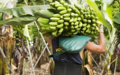 El Congreso aprueba prohibir la venta a pérdidas a lo largo de toda la cadena alimentaria