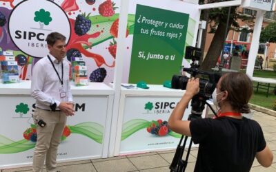 Sipcam Iberia presenta en Huelva el biofungicida Araw para berries