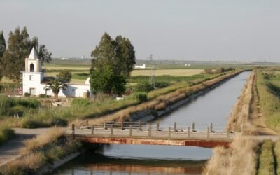 Las políticas comunitarias no garantizan el uso sostenible del agua por los agricultores, según el TCE