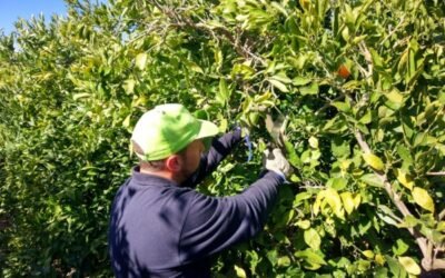 ASAJA:  la subida del SMI es la «gota que colma el vaso» en un 2021 de fuertes aumentos de los costes de producción agrarios