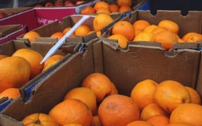 El Gobierno pide a la CE introducir el sistema de control de tratamiento de frío para las importaciones citrícolas