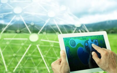 Las soluciones de agricultura inteligente que apoyan los eco-esquemas de la UE