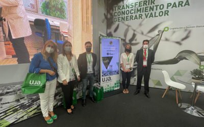 Claves para la innovación de la industria oleícola