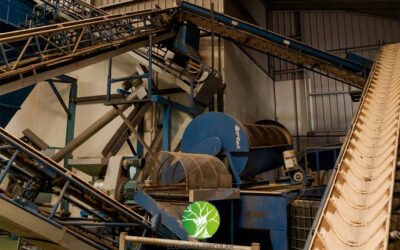 Aprovechamiento del alperujo como alimento para el ganado, compostaje y biomasa
