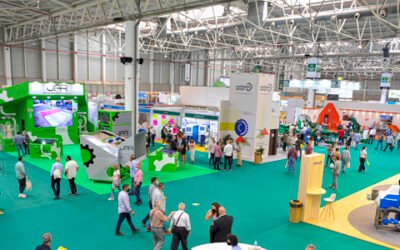 Expoliva 2021 supera expectativas