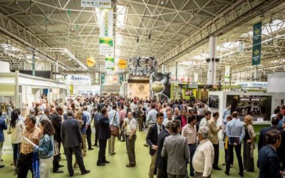 Jaén, capital mundial del aceite de oliva