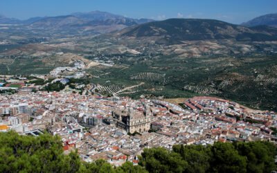 Elegido el ganador al I Galardón Internacional Ciudad de Jaén al conocimiento de la Olivicultura