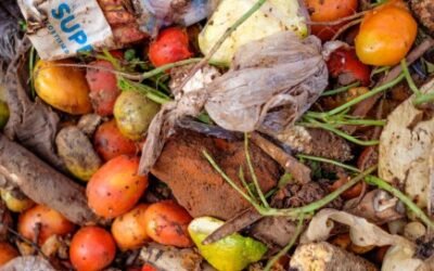 El mundo desperdicia el 17% de los alimentos, mientras que 811 millones de personas sufren hambre