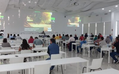 Dcoop desarrolla un intenso programa de jornadas para la mejora de la calidad del aceite de oliva