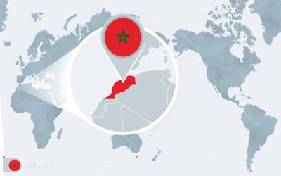 Marruecos sigue beneficiándose del arancel español a la aceituna de mesa negra
