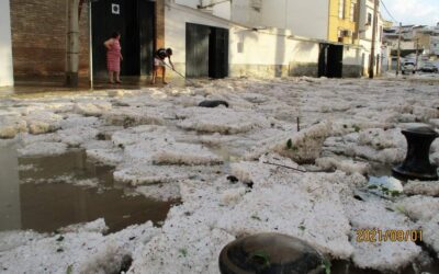 La localidad sevillana de Badolatosa sufre una fuerte granizada, afectando a viviendas y fincas de olivos justo cuando iba a comenzar la campaña del verdeo.
Un desastre para un pueblo dedicado principalmente al campo.
Mucha fuerza.
#badolatosa #sevilla #granizada #aceituna