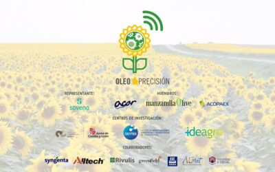 RT by @ManzanillaOlive: ? #OLEOPRECISIÓN 
? Si quieres saber más sobre el #GrupoOperativo @OLEO_PRECISION (modernización #cultivo #oleaginosas en España), visita la web del #proyecto ➡️ https://oleoprecision.es/
? La APP de @OLEO_PRECISION: https://oleoprecision.es/oleopr/public/index.html#/