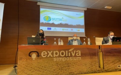 Manejo sostenible de la nutrición y de la sanidad del olivar