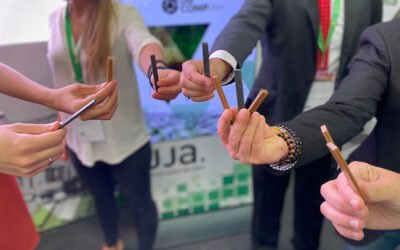 23,8 millones de euros de financiación para proyectos de investigación en el sector oleícola