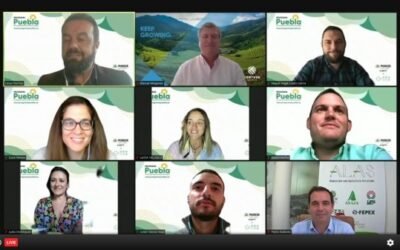 Seis jóvenes agricultores y ganaderos, galardonados en la primera edición del Programa Puebla