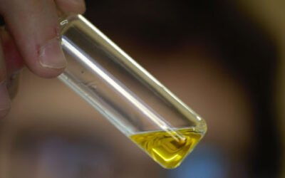 Avances en la aplicación de métodos instrumentales para clasificar los aceites de oliva vírgenes