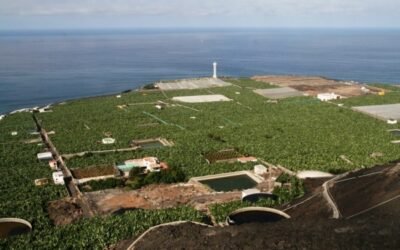 Entre 300 y 400 explotaciones agrarias afectadas ya por la erupción volcánica en La Palma