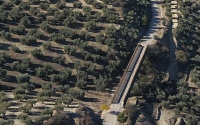 La Diputación de Jaén se suma a la Asociación para la Promoción y el Desarrollo de la Vía Verde del Aceite