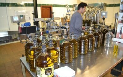 Ralentización de las salidas de aceite de oliva al mercado hasta 107.500 t en agosto