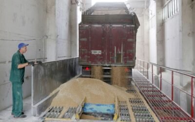 El Índice de Precios de los alimentos básicos de la FAO volvió a subir en septiembre