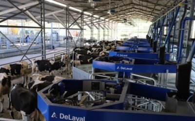 DeLaval revela un nuevo concepto de ordeño automático para grandes explotaciones lecheras