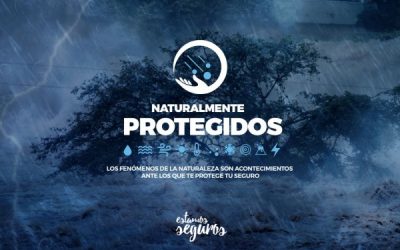 El sector asegurador crea el portal web «Naturalmente protegidos»