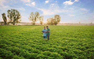 Abierto el plazo para solicitar estancias formativas de jóvenes en explotaciones agrarias modelo del Programa CULTIVA 2021