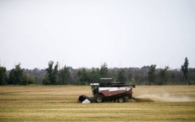 El MAPA constata que los «agricultores activos» perciben hoy el 96% de todas las ayudas directas de la PAC