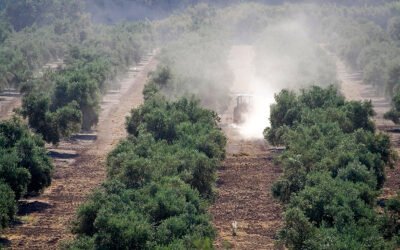 El sector agrario, uno de los sectores que registra más accidentes laborales graves en España