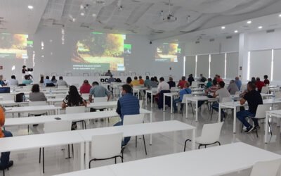 Formación para la mejora continúa de la calidad del aceite