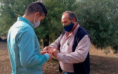 Abierto el periodo de solicitud de plazas en estancias formativas del programa Cultiva 2021