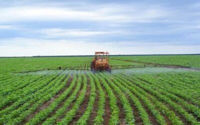 Preocupación mundial por el incremento de los precios de los fertilizantes